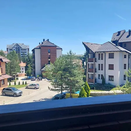 Calendula * زلاتيبور