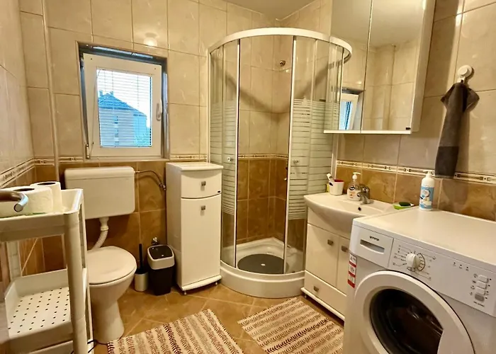 Calendula زلاتيبور