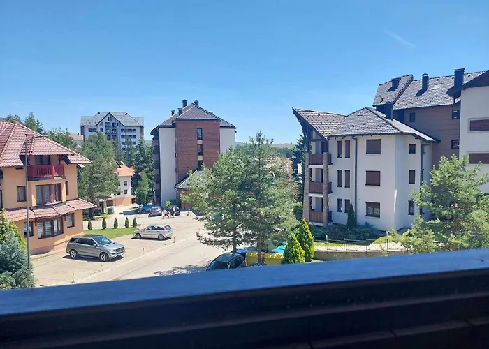 Calendula * 즐라티보